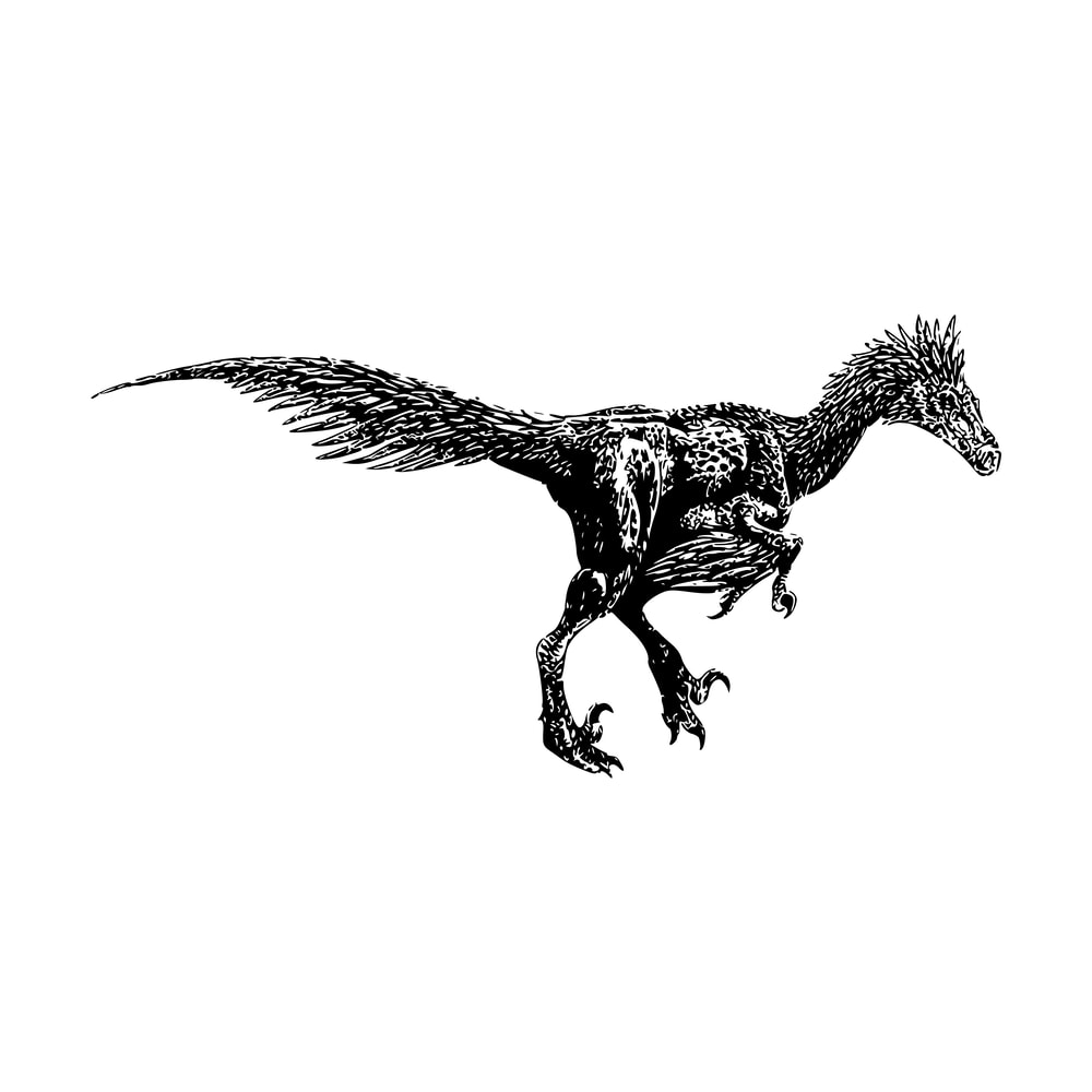 Jurassic Park Alphabet 08 Dinosaur-17.png