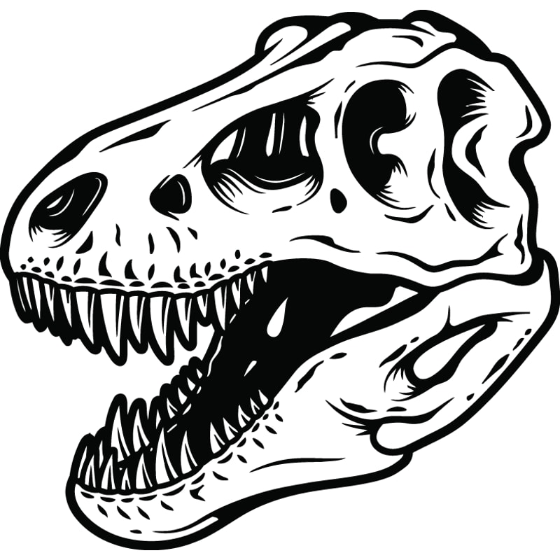 skull2.png