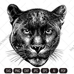 Panther svg, Panther face SVG, Panther Head Svg, Panther Svg,Panther Mascot SVG, Panther print, Panther Png, Panther Cli