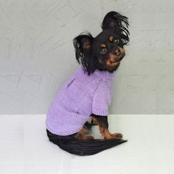 Knitted sweater for a dog Lilac sweater for small dog Warm dog sweater Torn sweater Sweater with holes