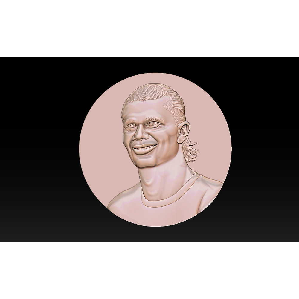 Erling Haaland_ (5).jpg