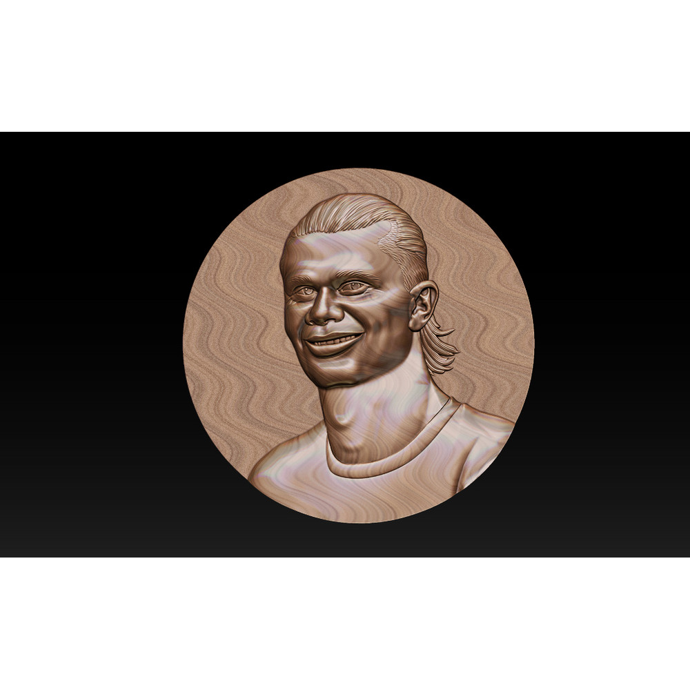 Erling Haaland_ (8).jpg