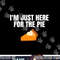 Funny Just Here ForThe Pumpkin Pie Thanksgiving png, sublimation copy.jpg