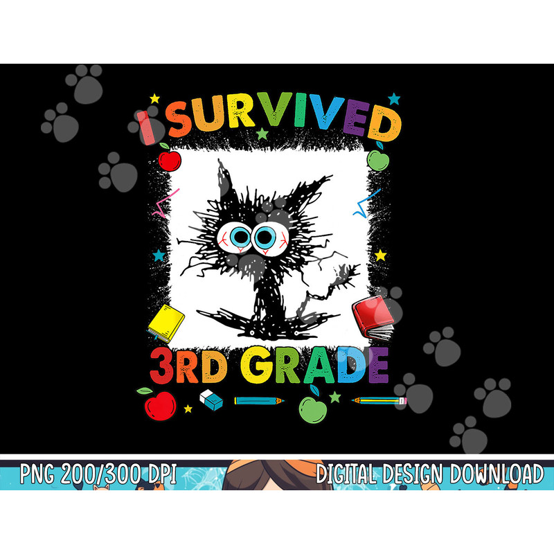 Funny Last Day Of Third 3rd Grade I Survived Third 3rd Grade png, sublimation copy.jpg
