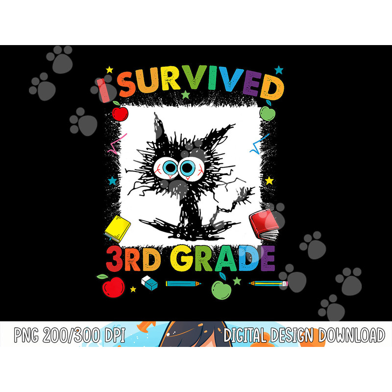 Funny Last Day Of Third 3rd Grade I Survived Third 3rd Grade  png, sublimation copy.jpg