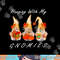 Funny Thanksgiving Shirts for Women Gnome - Gnomies Lover png, sublimation copy.jpg
