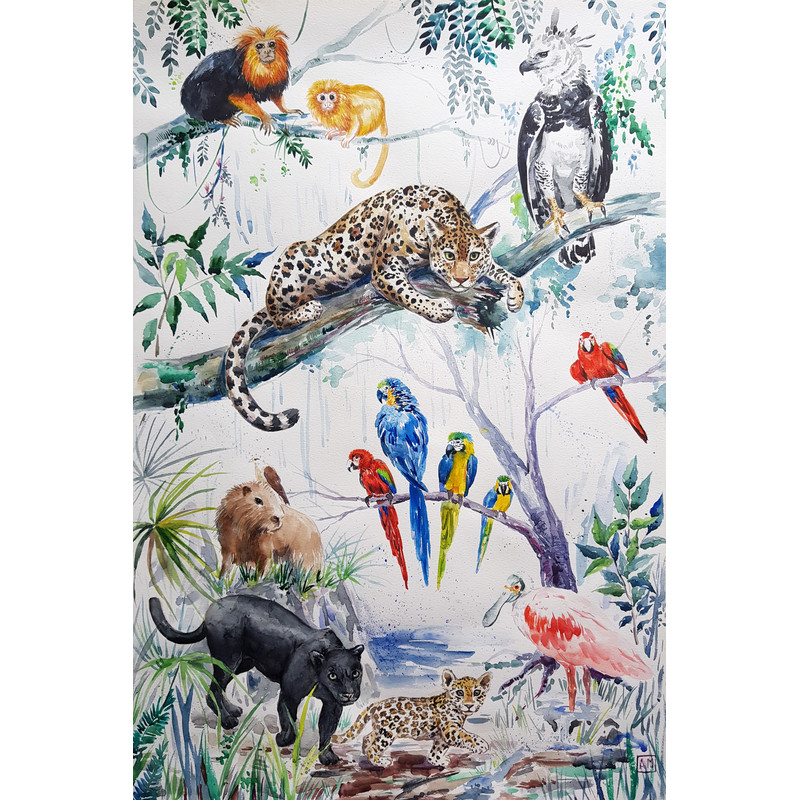 Animals of South America..jpg