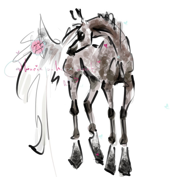 rose grey Arabian Horse ART commission cute sketch doodle custom original equine artist cartoon illustration pet portrait realistic drawing personalized paintin