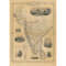 MR-247202374734-old-map-of-india-1851-southern-old-india-map-indian-wall-decor-image-1.jpg