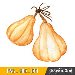 Pumpkin Png, Pumpkin Season, Sublimation Digital Download, Fall Png