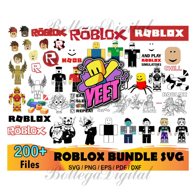 MR-bottegadigital-dn24012022tt032-247202382622.jpeg
