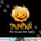 Halloween Funny T Shirt  Donald Trump Costume Gift Idea copy.jpg