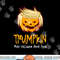 Halloween Funny T Shirt Donald Trump Costume Gift Idea copy.jpg