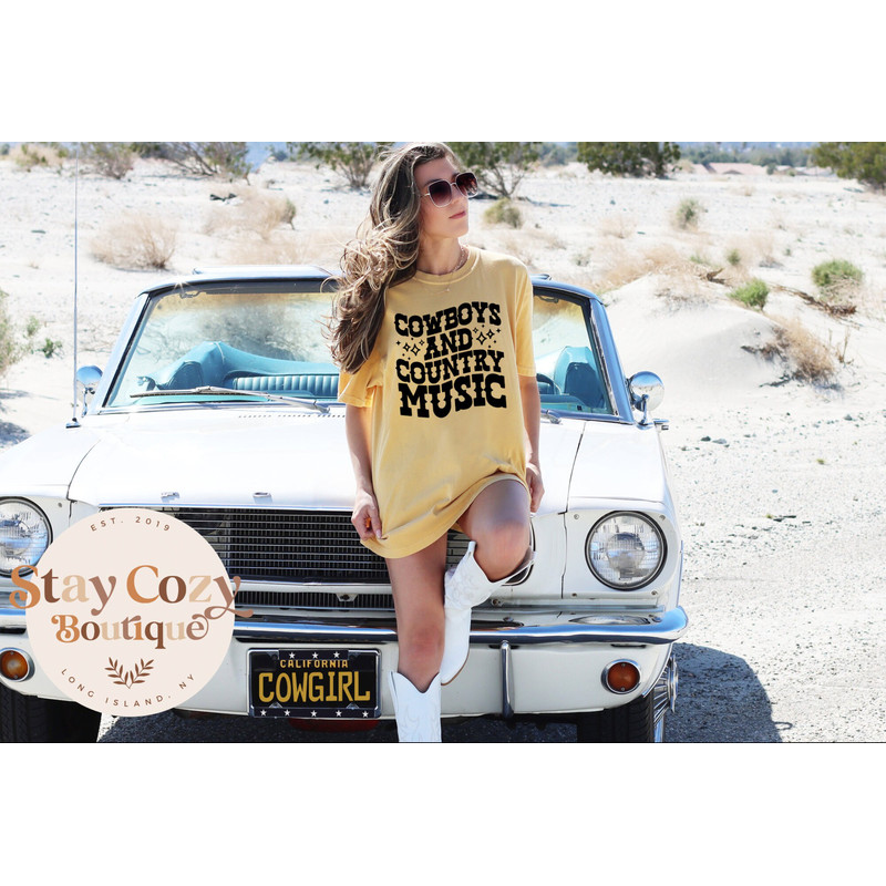 Cowboys and Country Music T-Shirt Hoodie Stay Cozy Boutique - 1.jpg