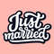 MR-247202312529-just-married-editable-layered-cut-files-svg-png-jpeg-image-1.jpg