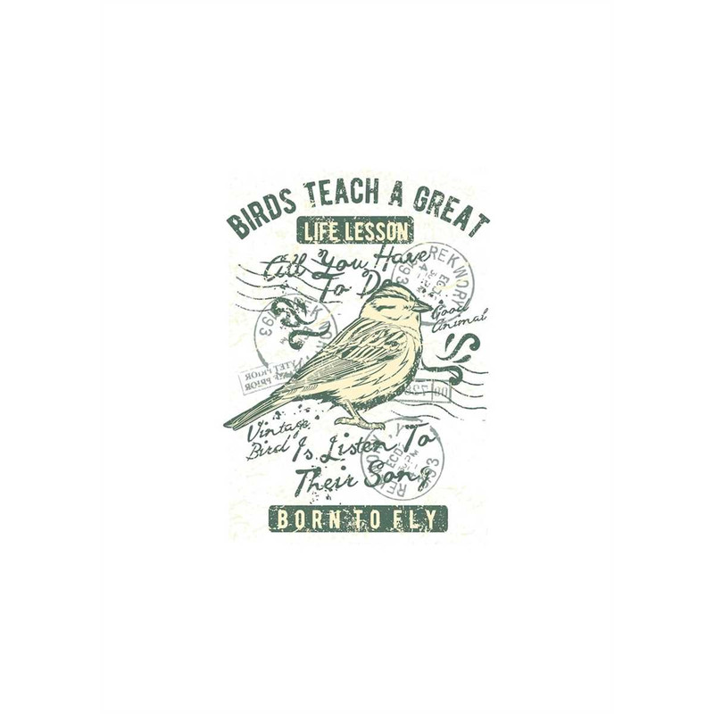 MR-247202314437-birds-teach-a-great-life-lesson-all-you-have-to-do-is-listen-image-1.jpg