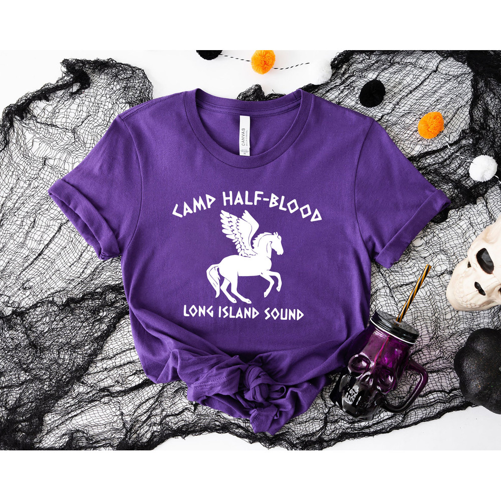 Camp Half-Blood Shirt, Long Island Sound, Percy Jackson Shirt, Camp Jupiter, Halloween Costume, Adventure Shirt, Funny Camping 2023 Tee - 5.jpg