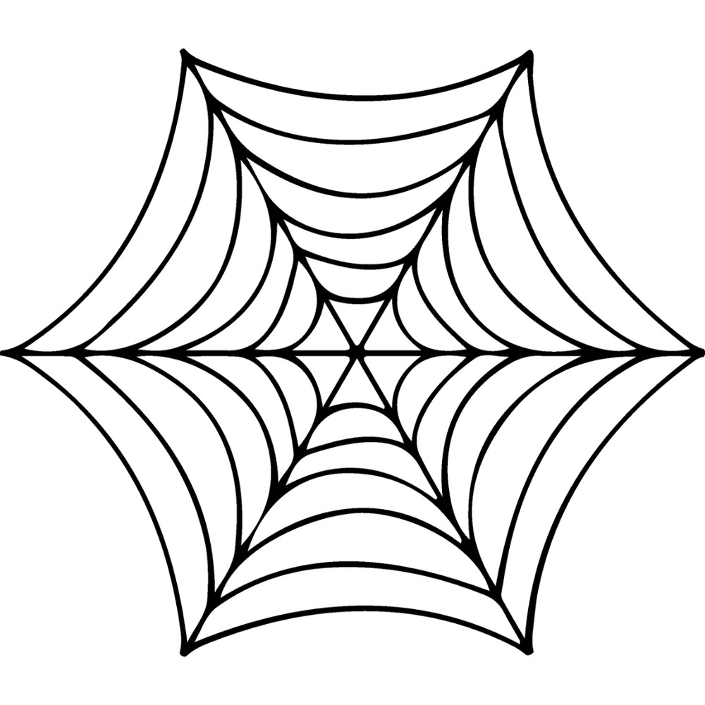 spiderweb-11.jpg
