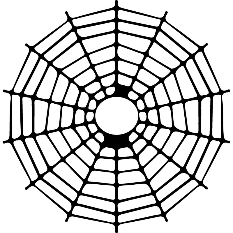 spiderweb-14.jpg