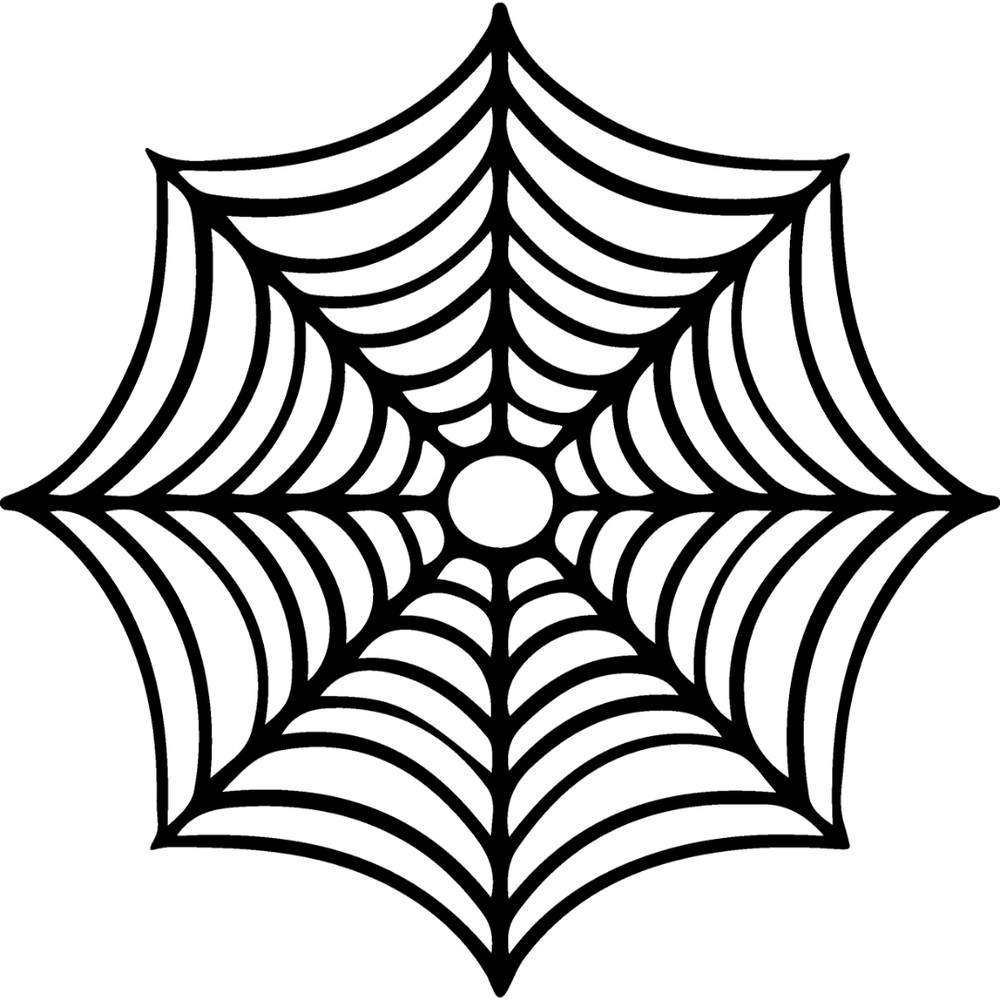 spiderweb-15.jpg