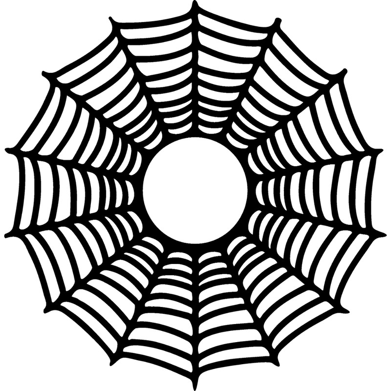 spiderweb-16.jpg
