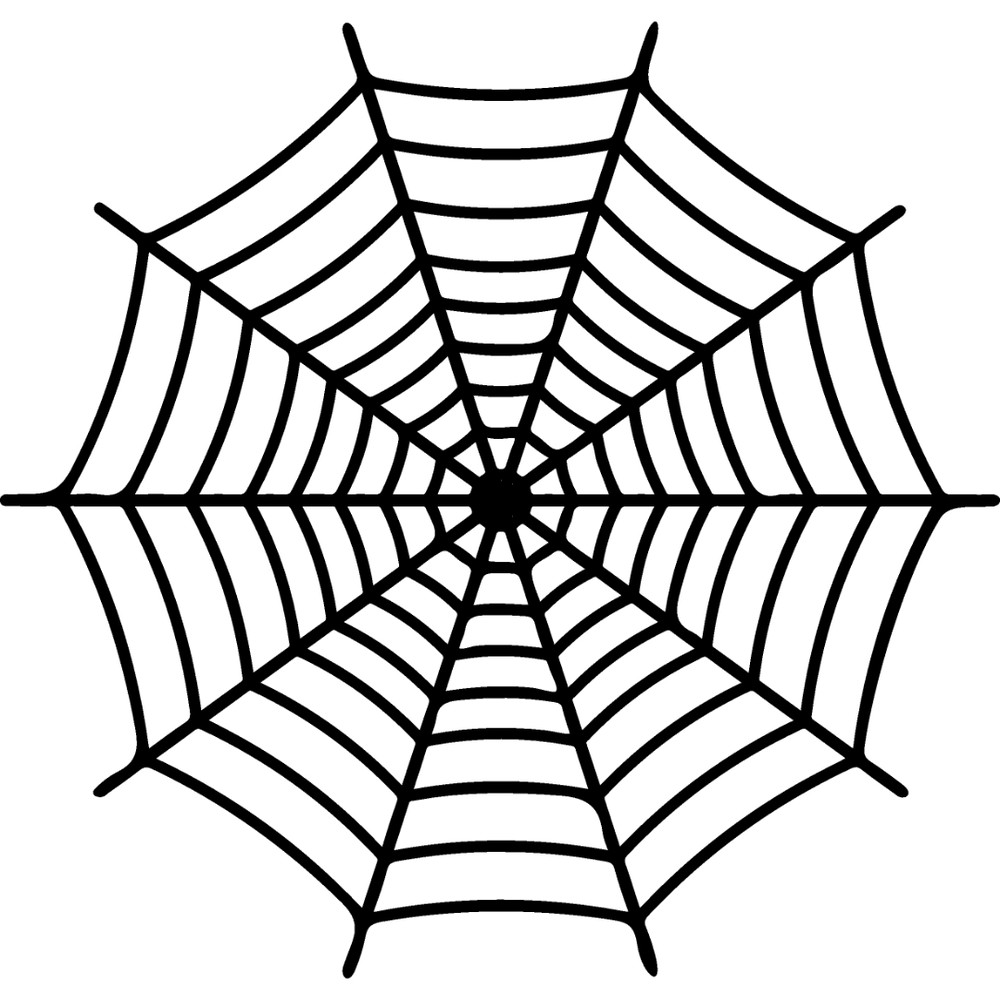 spiderweb-20.jpg
