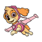 Paw Patrol SkyePNG-01.png