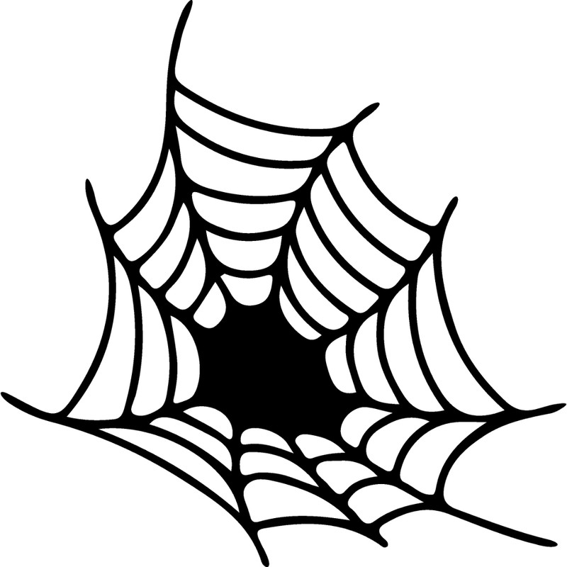 spiderweb-26.jpg