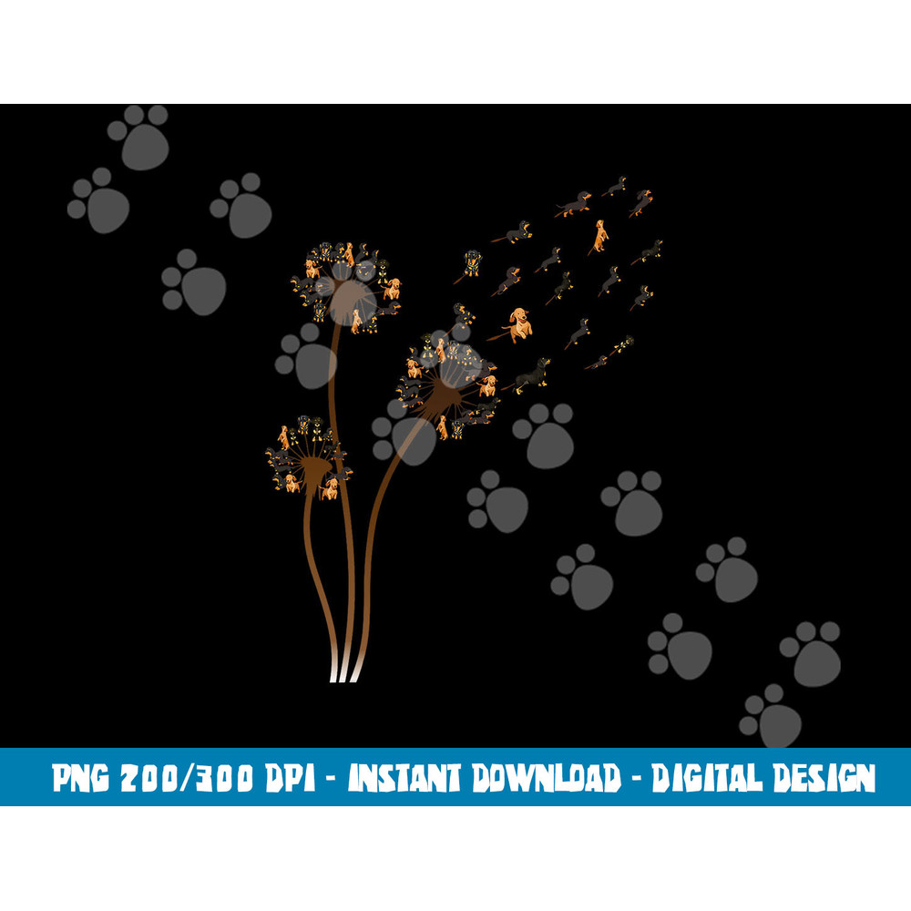 Dachshund Flower Fly Dandelion Funny Cute Dog Lover  png, sublimation copy.jpg