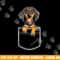 Dachshund in Your Front Pocket T Shirt Dog Puppy Gifts Women copy.jpg