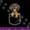 Dachshund in Your Front Pocket T Shirt Dog Puppy Gifts Women copy.jpg