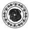 MR-2472023181634-the-pug-with-a-circular-frame-the-cute-dog-with-a-round-image-1.jpg