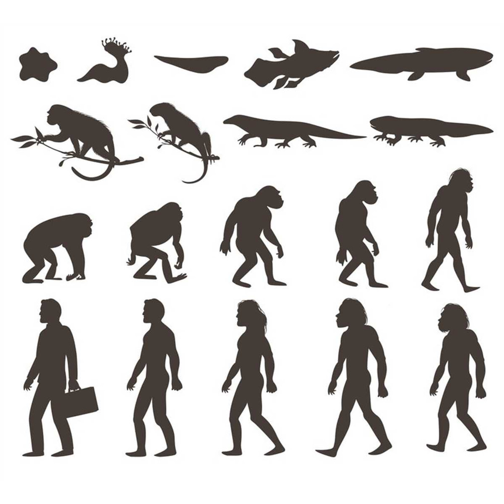 MR-2472023191452-evolution-table-bundle-charles-darwin-collection-editable-image-1.jpg