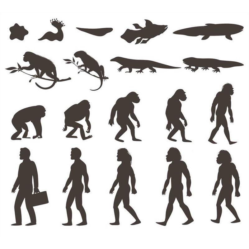MR-2472023191452-evolution-table-bundle-charles-darwin-collection-editable-image-1.jpg