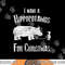 I Wants A Hippopotamus For Christmas T Shirt Xmas Hippos png,sublimation copy.jpg