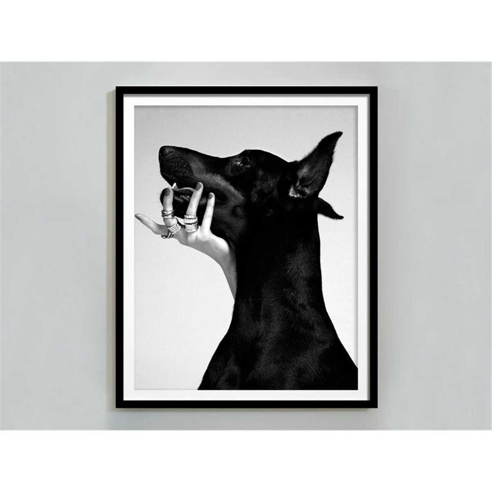 MR-247202320398-doberman-pinscher-poster-black-and-white-luxury-fashion-print-doberman-wall-art-teen-girl-room-decor-dog-print-digital-download-gifts.jpg