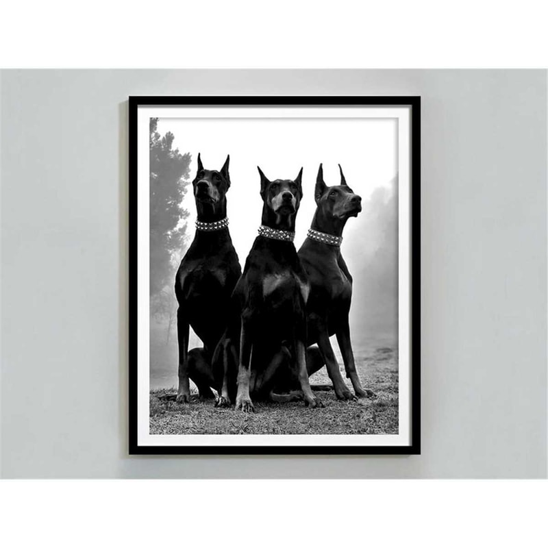 MR-2472023204726-doberman-pinscher-print-luxury-fashion-poster-doberman-wall-art-designer-dog-print-printable-art-room-decor-for-teens-digital-download.jpg