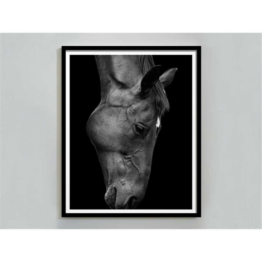 MR-247202320496-horse-photography-black-and-white-horse-print-digital-download-horse-portrait-horse-printable-wall-art-horse-poster-fine-art-print.jpg