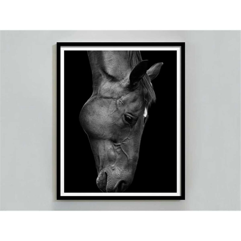MR-247202320496-horse-photography-black-and-white-horse-print-digital-download-horse-portrait-horse-printable-wall-art-horse-poster-fine-art-print.jpg