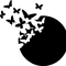 circle and butterfly.png
