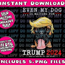 boxer dog even my dog is waiting for trump 2024 png bundle, trending png, popular printable