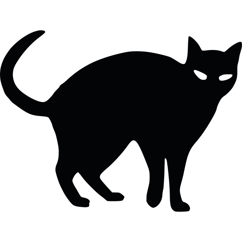 Black_Cat_1.jpg