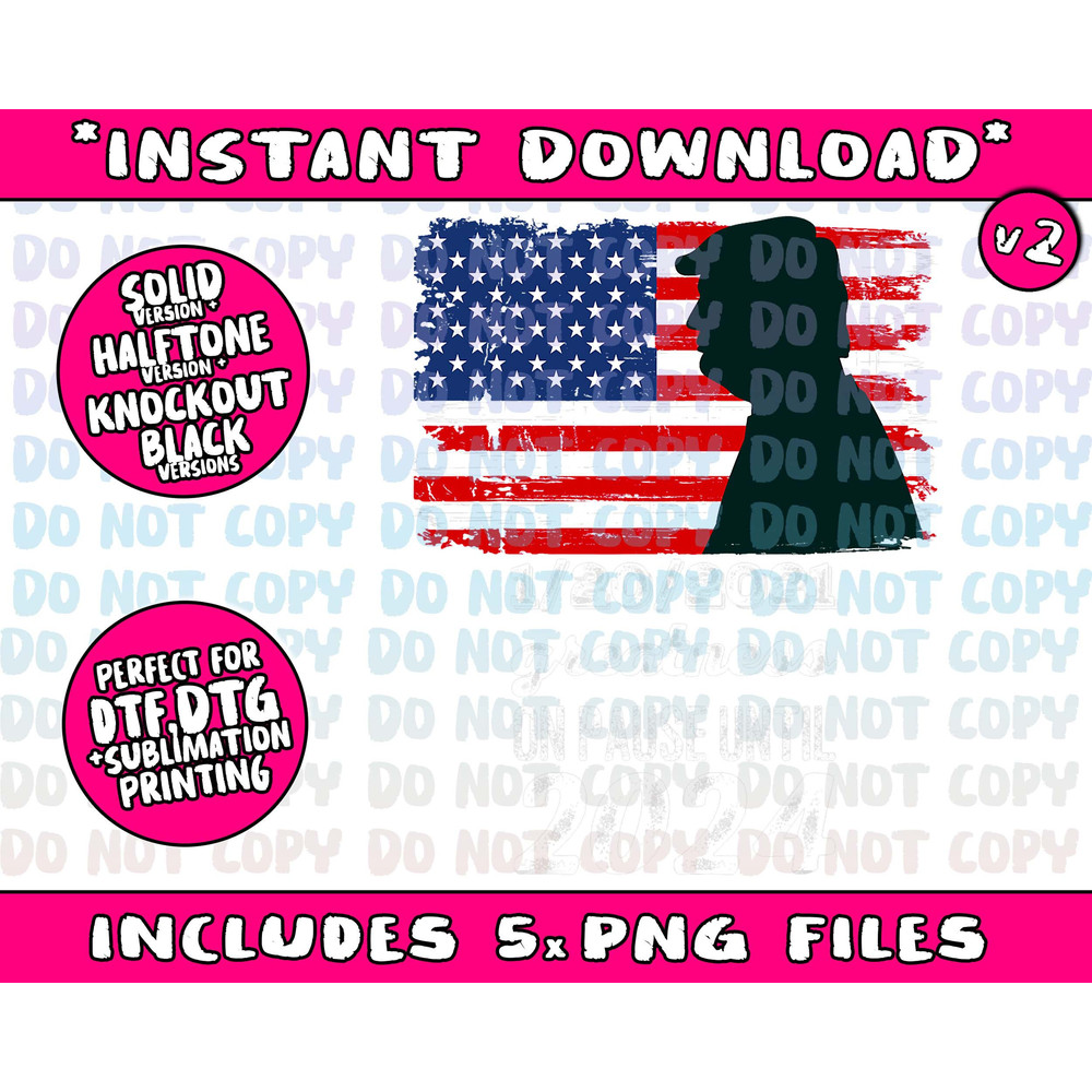 01202021 Greatness On Pause Until 2024 Pro Trump USA Flag Png Bundle, Trending Png, Popular Printable - 3.jpg