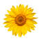 MR-kayeduncanshop-fw210605hl69-2572023153558.jpeg