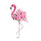 MR-kayeduncanshop-fw210605hl66-2572023155424.jpeg