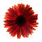 MR-anndawsongraphics-fw210605hl74-2572023155533.jpeg