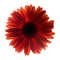 MR-kayeduncanshop-fw210605hl74-2572023155554.jpeg