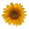 MR-kayeduncanshop-fw210605hl68-2572023155849.jpeg