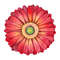 MR-pabloliugraphicdesigner-fw210605hl70-257202316232.jpeg