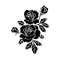 MR-kayeduncanshop-fw210605hl82-2572023161040.jpeg